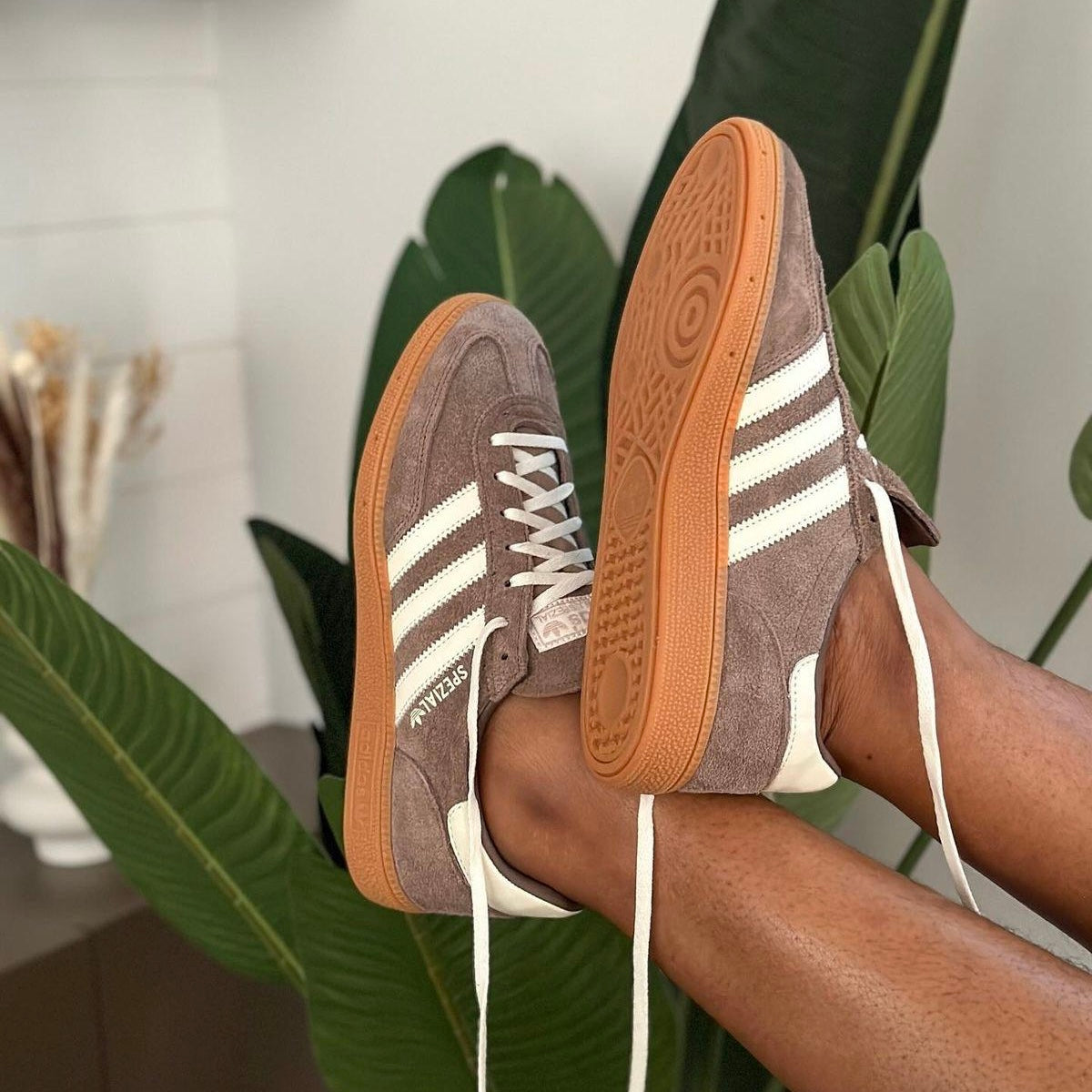 SPEZIAL CASTANHO