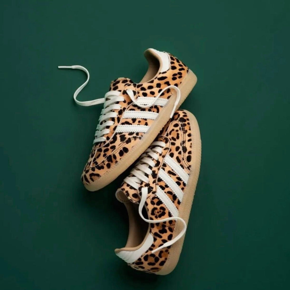 SAMBA LEOPARDO BRANCO