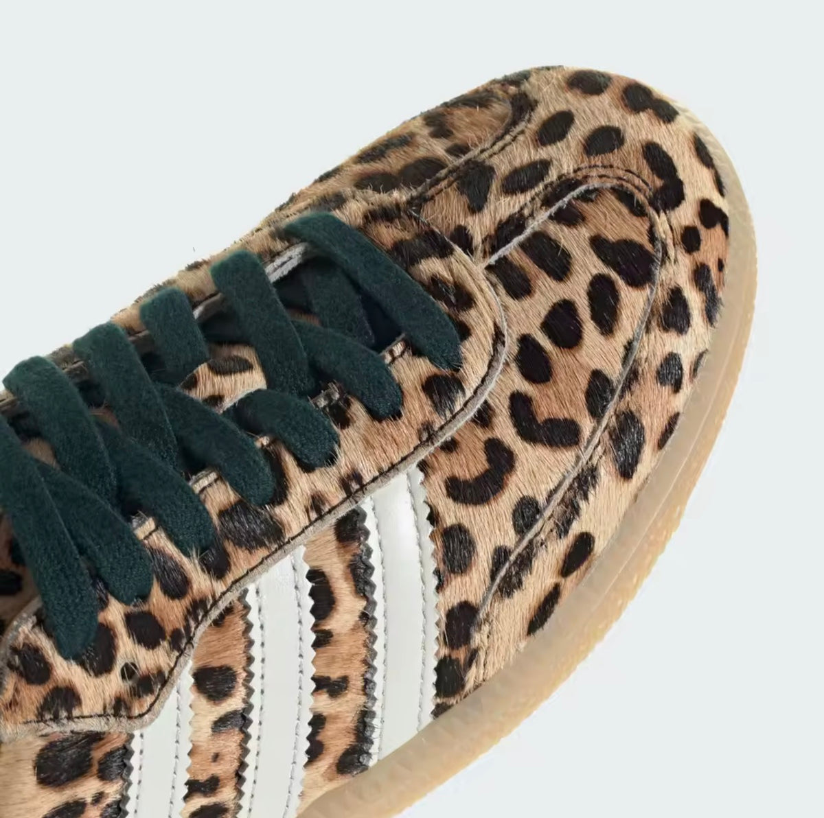 SAMBA OG LEOPARD