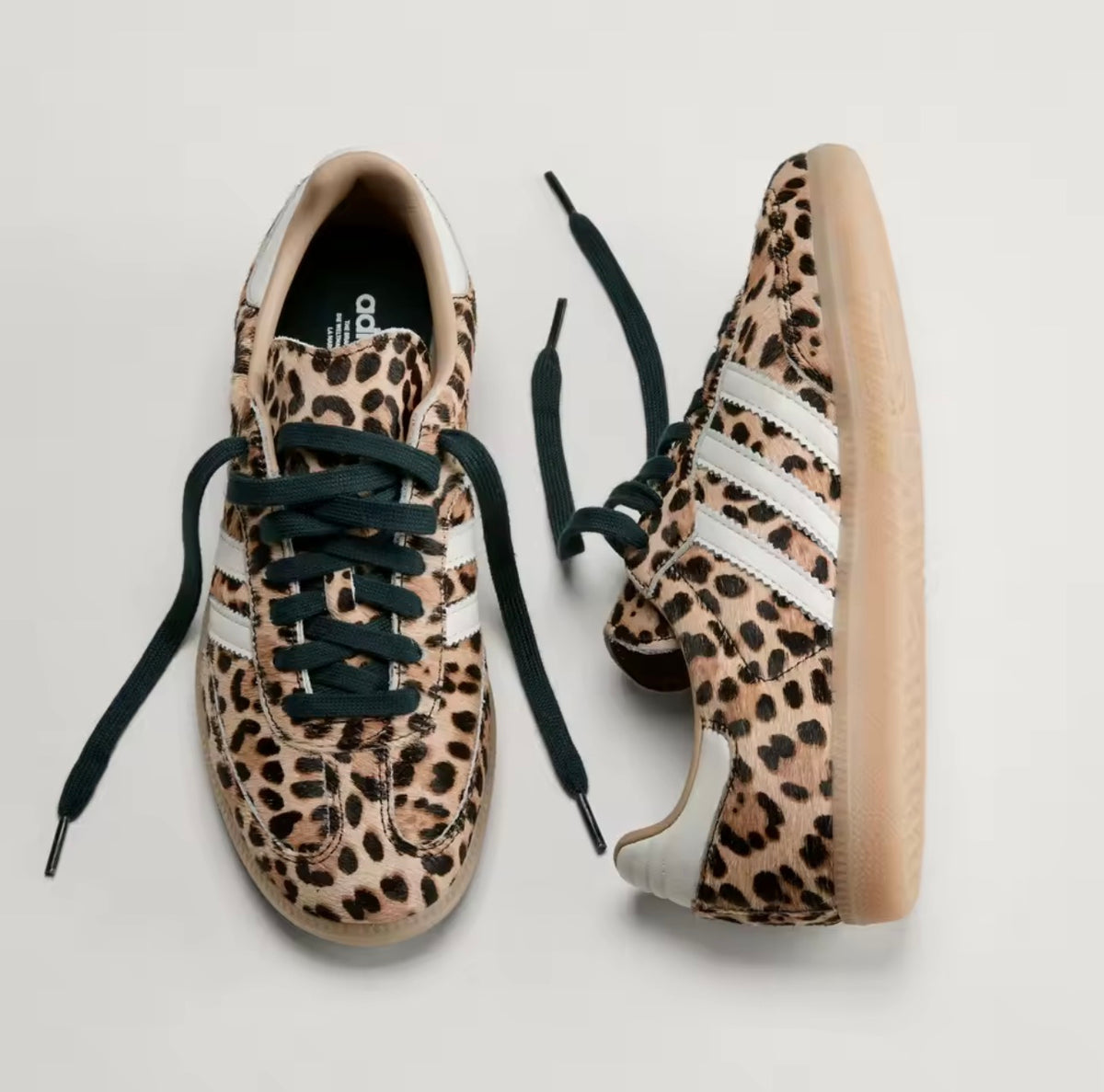SAMBA OG LEOPARD
