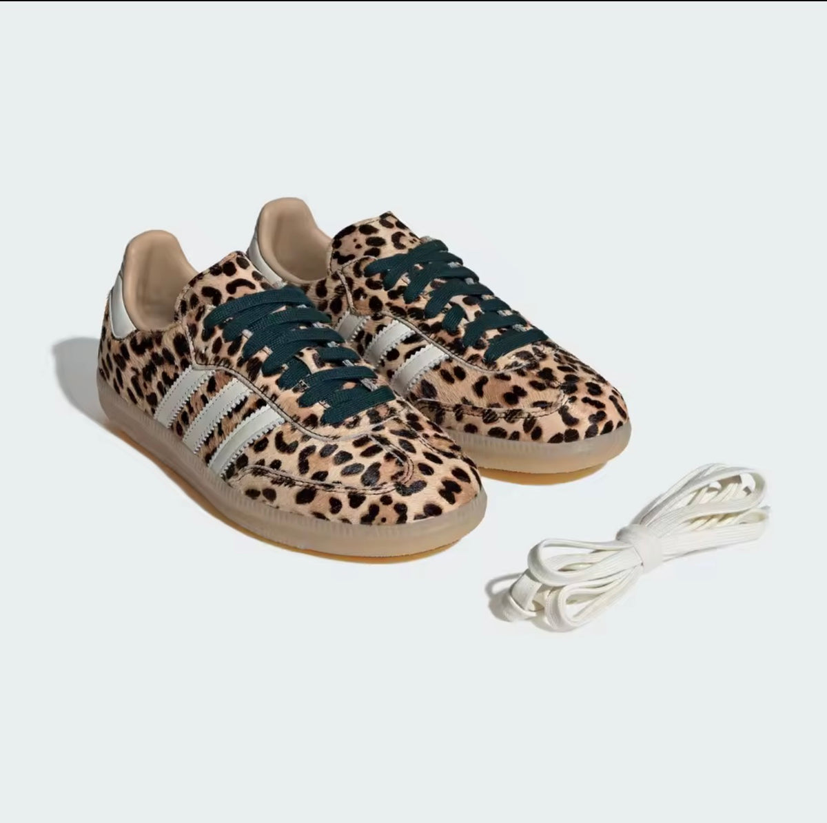 SAMBA OG LEOPARD